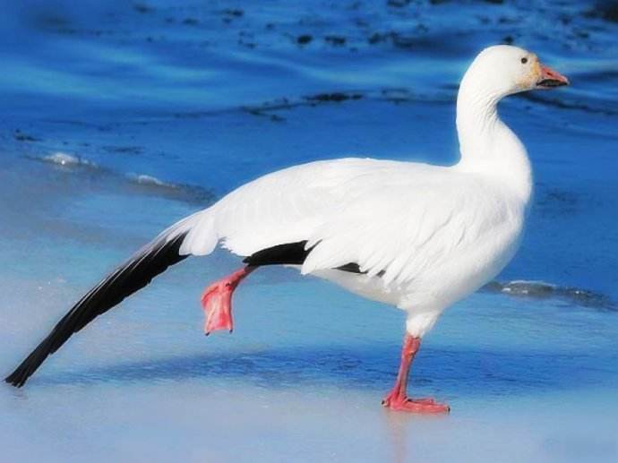 了解OBB的品牌故事